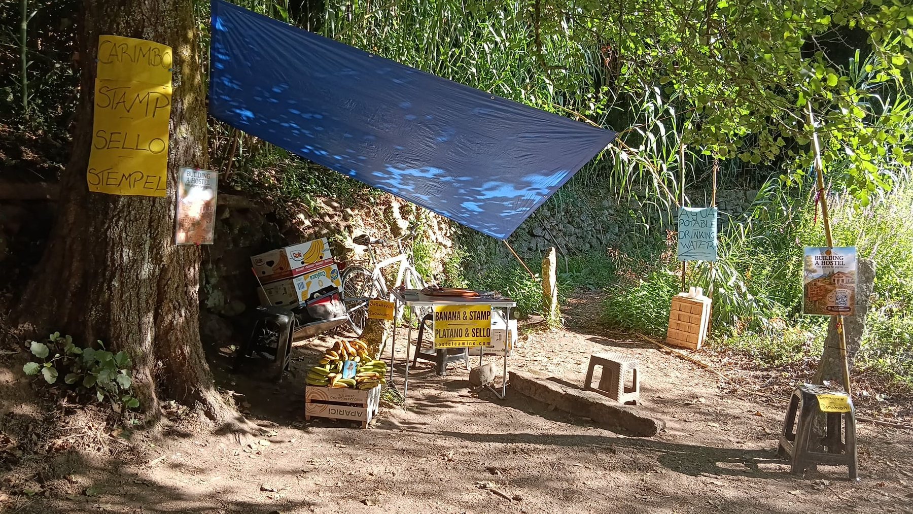 The banana and pilgrim stamp stand beneath a blue tarp in daylight